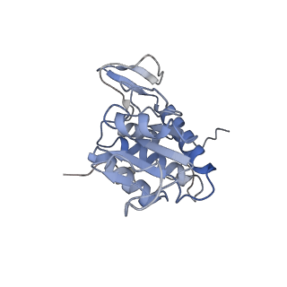 4071_5ll6_P_v1-3
Structure of the 40S ABCE1 post-splitting complex in ribosome recycling and translation initiation