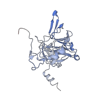 4071_5ll6_S_v1-3
Structure of the 40S ABCE1 post-splitting complex in ribosome recycling and translation initiation