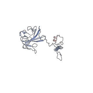 4071_5ll6_T_v1-3
Structure of the 40S ABCE1 post-splitting complex in ribosome recycling and translation initiation