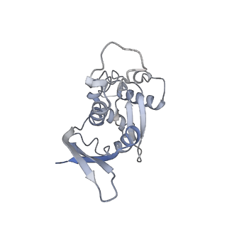 4071_5ll6_U_v1-3
Structure of the 40S ABCE1 post-splitting complex in ribosome recycling and translation initiation