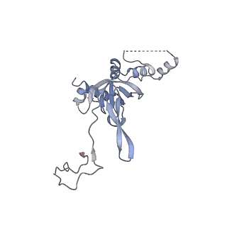 4071_5ll6_V_v1-3
Structure of the 40S ABCE1 post-splitting complex in ribosome recycling and translation initiation