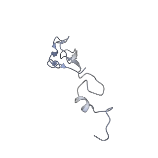 4071_5ll6_f_v1-3
Structure of the 40S ABCE1 post-splitting complex in ribosome recycling and translation initiation