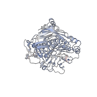 4071_5ll6_h_v1-3
Structure of the 40S ABCE1 post-splitting complex in ribosome recycling and translation initiation