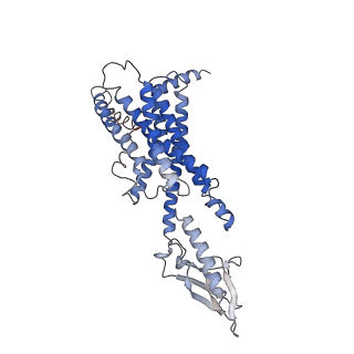 0917_6lmk_R_v1-0
Cryo-EM structure of the human glucagon receptor in complex with Gs