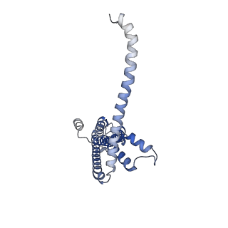 0919_6lmt_A_v1-1
Cryo-EM structure of the killifish CALHM1