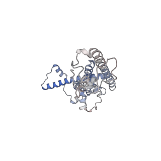 0920_6lmu_A_v1-1
Cryo-EM structure of the human CALHM2