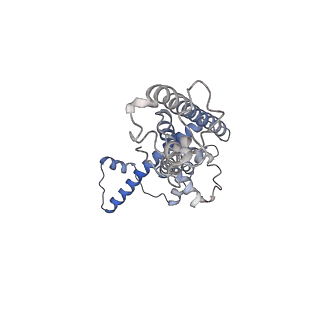 0920_6lmu_B_v1-1
Cryo-EM structure of the human CALHM2