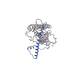 0920_6lmu_C_v1-1
Cryo-EM structure of the human CALHM2