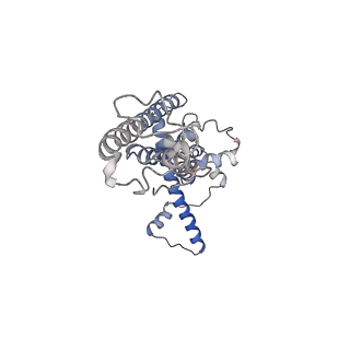 0920_6lmu_D_v1-1
Cryo-EM structure of the human CALHM2