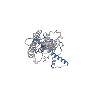 0920_6lmu_E_v1-1
Cryo-EM structure of the human CALHM2