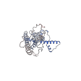 0920_6lmu_F_v1-1
Cryo-EM structure of the human CALHM2
