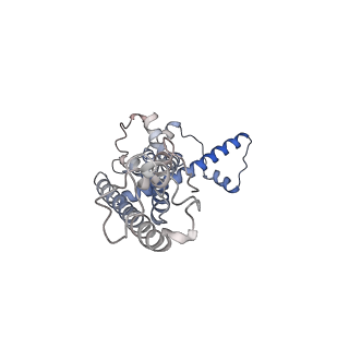 0920_6lmu_G_v1-1
Cryo-EM structure of the human CALHM2