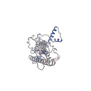 0920_6lmu_H_v1-1
Cryo-EM structure of the human CALHM2