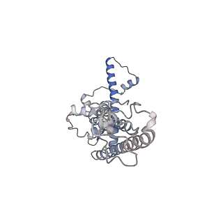 0920_6lmu_I_v1-1
Cryo-EM structure of the human CALHM2