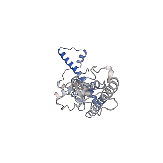 0920_6lmu_J_v1-1
Cryo-EM structure of the human CALHM2