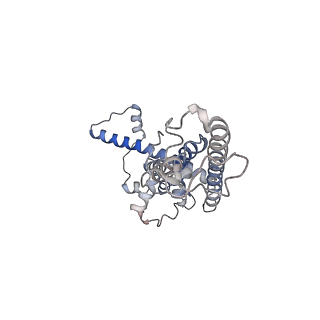 0920_6lmu_K_v1-1
Cryo-EM structure of the human CALHM2