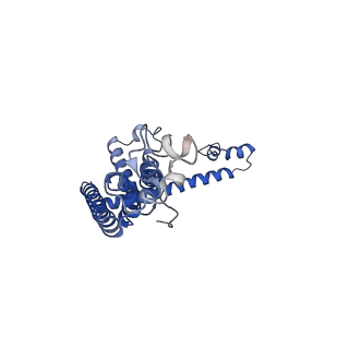 0921_6lmv_A_v1-1
Cryo-EM structure of the C. elegans CLHM-1