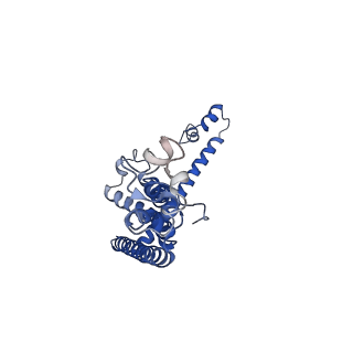0921_6lmv_B_v1-1
Cryo-EM structure of the C. elegans CLHM-1