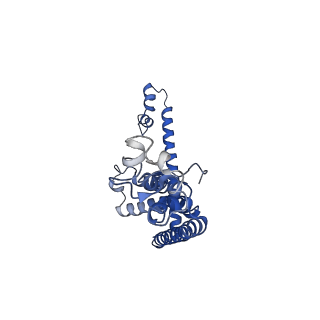 0921_6lmv_C_v1-1
Cryo-EM structure of the C. elegans CLHM-1
