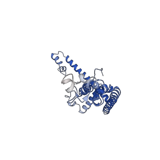 0921_6lmv_D_v1-1
Cryo-EM structure of the C. elegans CLHM-1