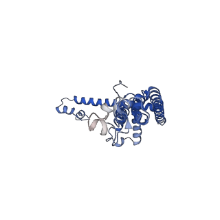 0921_6lmv_E_v1-1
Cryo-EM structure of the C. elegans CLHM-1