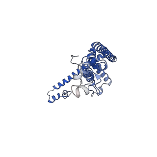 0921_6lmv_F_v1-1
Cryo-EM structure of the C. elegans CLHM-1