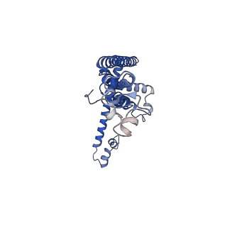 0921_6lmv_G_v1-1
Cryo-EM structure of the C. elegans CLHM-1