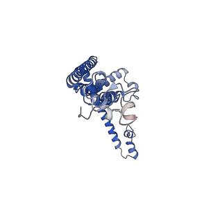 0921_6lmv_H_v1-1
Cryo-EM structure of the C. elegans CLHM-1