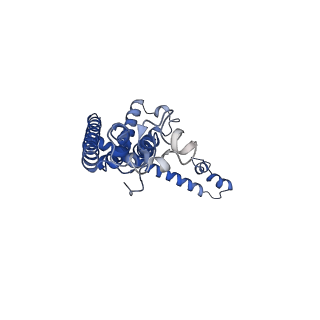 0921_6lmv_I_v1-1
Cryo-EM structure of the C. elegans CLHM-1