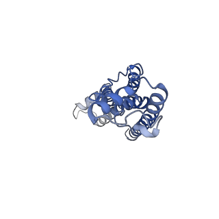0922_6lmw_A_v1-1
Cryo-EM structure of the CALHM chimeric construct (8-mer)