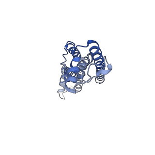 0922_6lmw_B_v1-1
Cryo-EM structure of the CALHM chimeric construct (8-mer)