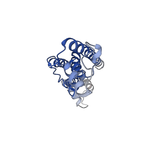 0922_6lmw_C_v1-1
Cryo-EM structure of the CALHM chimeric construct (8-mer)