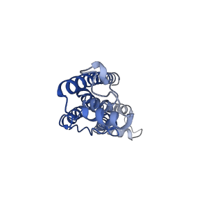 0922_6lmw_D_v1-1
Cryo-EM structure of the CALHM chimeric construct (8-mer)