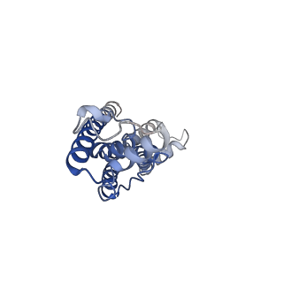 0922_6lmw_E_v1-1
Cryo-EM structure of the CALHM chimeric construct (8-mer)