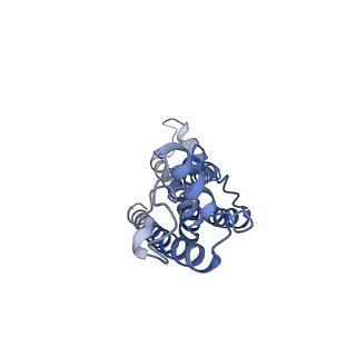 0922_6lmw_G_v1-1
Cryo-EM structure of the CALHM chimeric construct (8-mer)