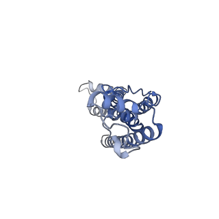 0922_6lmw_H_v1-1
Cryo-EM structure of the CALHM chimeric construct (8-mer)