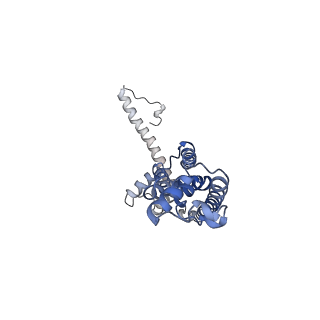0923_6lmx_A_v1-1
Cryo-EM structure of the CALHM chimeric construct (9-mer)