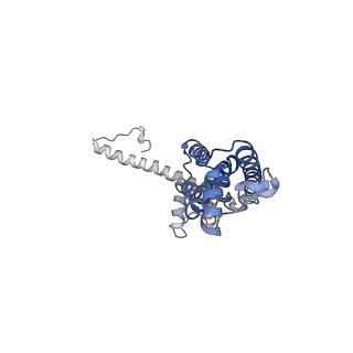 0923_6lmx_B_v1-1
Cryo-EM structure of the CALHM chimeric construct (9-mer)