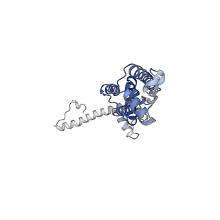 0923_6lmx_C_v1-1
Cryo-EM structure of the CALHM chimeric construct (9-mer)