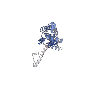0923_6lmx_D_v1-1
Cryo-EM structure of the CALHM chimeric construct (9-mer)