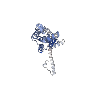 0923_6lmx_E_v1-1
Cryo-EM structure of the CALHM chimeric construct (9-mer)