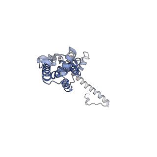 0923_6lmx_F_v1-1
Cryo-EM structure of the CALHM chimeric construct (9-mer)