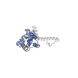 0923_6lmx_G_v1-1
Cryo-EM structure of the CALHM chimeric construct (9-mer)