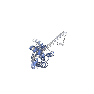 0923_6lmx_H_v1-1
Cryo-EM structure of the CALHM chimeric construct (9-mer)