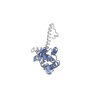 0923_6lmx_I_v1-1
Cryo-EM structure of the CALHM chimeric construct (9-mer)