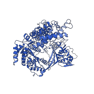 23437_7lma_A_v1-2
Tetrahymena telomerase T3D2 structure at 3.3 Angstrom