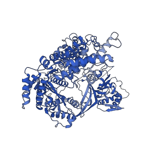 23437_7lma_A_v1-3
Tetrahymena telomerase T3D2 structure at 3.3 Angstrom