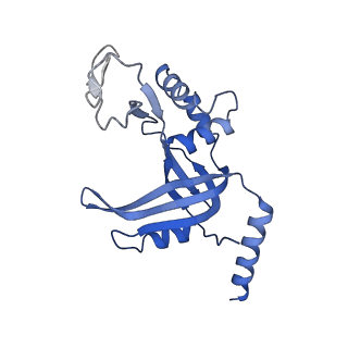 23437_7lma_D_v1-2
Tetrahymena telomerase T3D2 structure at 3.3 Angstrom