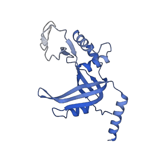 23437_7lma_D_v1-3
Tetrahymena telomerase T3D2 structure at 3.3 Angstrom