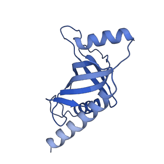 23437_7lma_E_v1-2
Tetrahymena telomerase T3D2 structure at 3.3 Angstrom